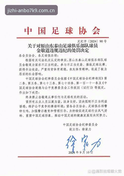 终身禁足 vs 五年禁赛：足协第三批罚单的分层逻辑，安博体育官网数据观察